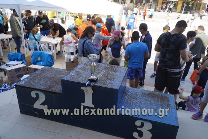 alexandriamou_1_alexandrinos_dromos093